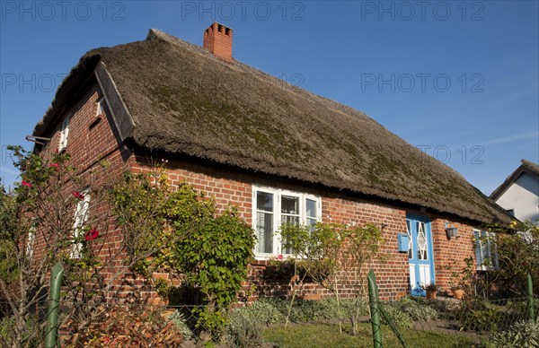 Thatched house