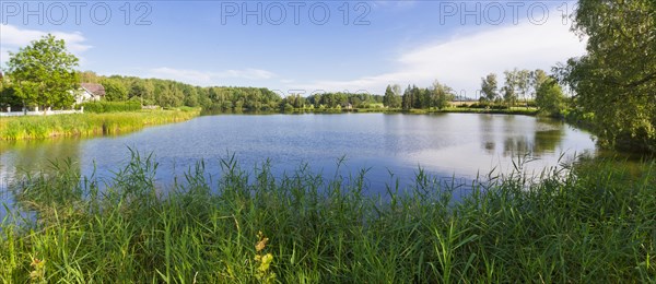 Pond