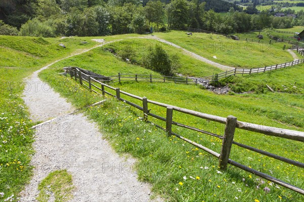 Path on a mountain pasture