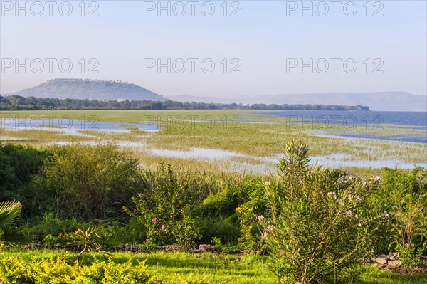 Lake Awasa