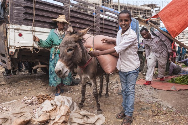 Boy with a pack donkey