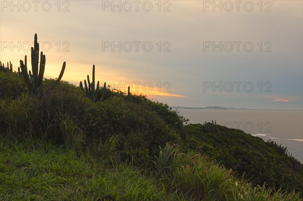 Coastal landscape