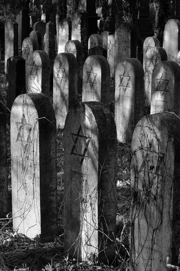 Group of old grave stones with Stars of David