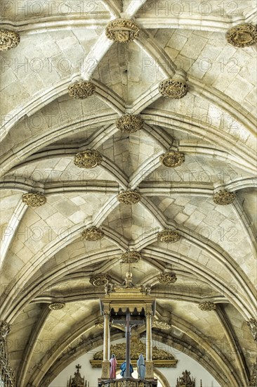 Ceiling of the central nave