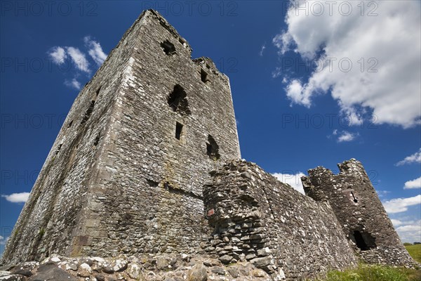 Ruins of Threave Castle