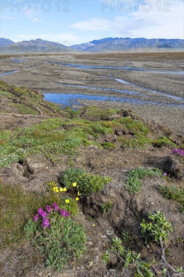 Riverbed