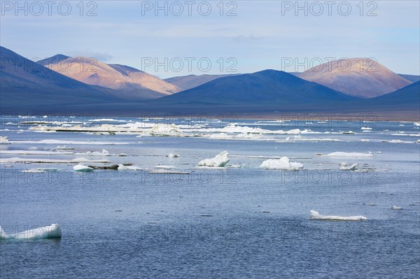 Ice floes off Wrangel Island