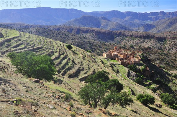 Terraced fields