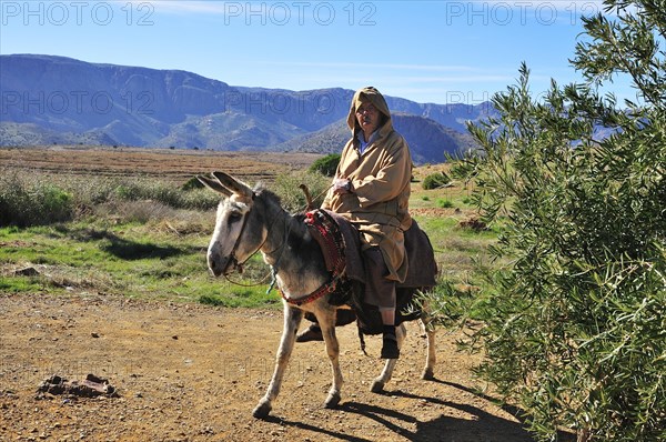 Man riding a donkey