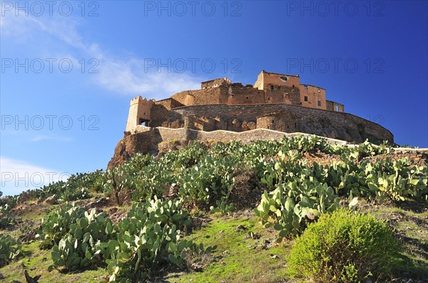 Ksar Tizourgane surrounded by Prickly Pears