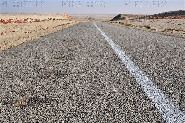 Paved country road in Western Sahara
