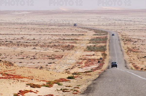 Paved country road in Western Sahara