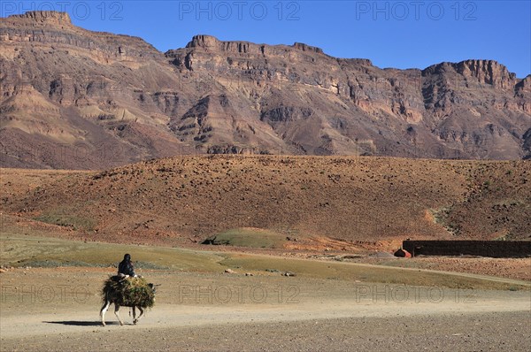 Riding a donkey near Kasbah Tamnougalt
