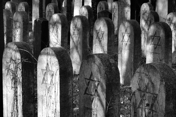 Group of old grave stones with Stars of David