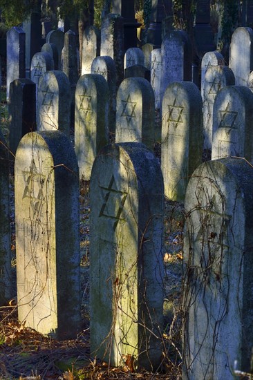 Group of old grave stones with Stars of David