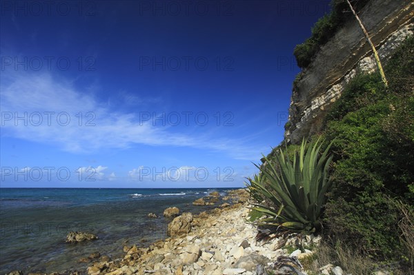 Rocky coast