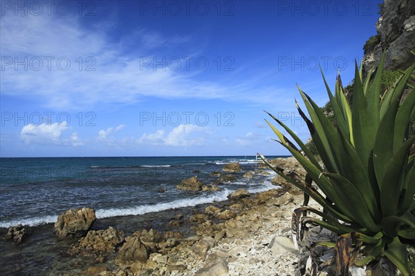 Rocky coast