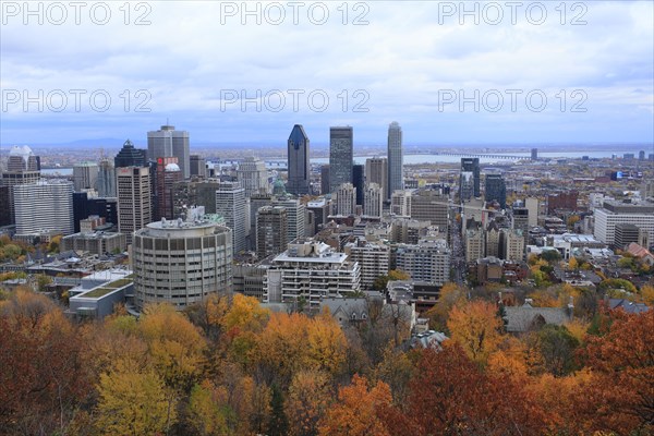 View of the city