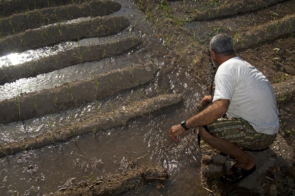 Omani man controlling the irrigation canals in the garden of an oasis