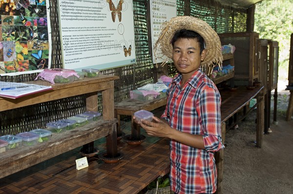 Lepidopterist with plastic boxes for breeding caterpillars in Banteay Srey Butterfly Centre BBC