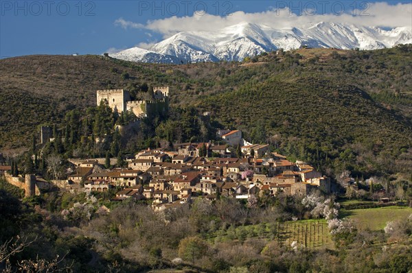 Medieval town of Castelnou