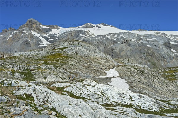 Hikers in the rocky terrain below the summit of Wildhorn Mountain