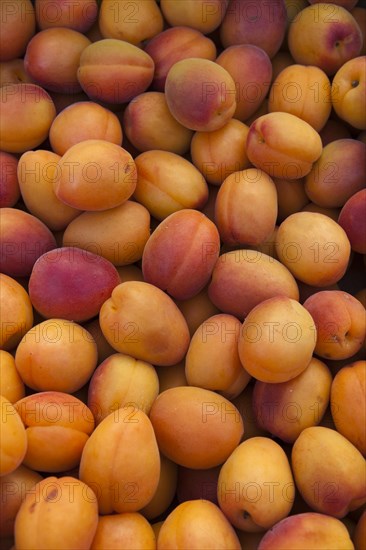 Apricots