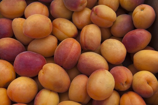 Apricots