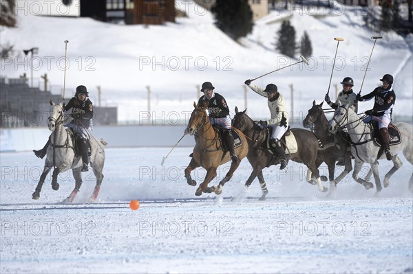 Polo tournament