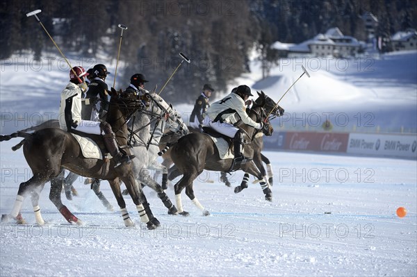 Polo tournament