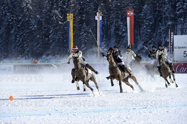 Polo tournament