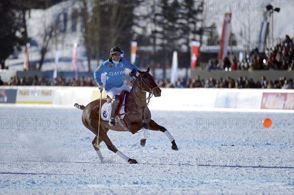 Polo tournament