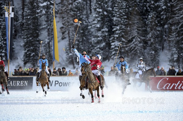 Polo tournament