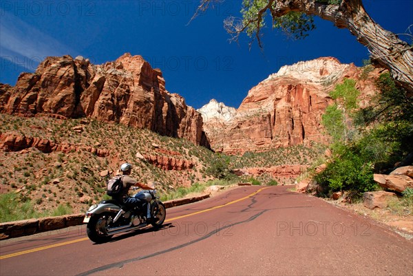 Motorcyclist riding a Harley Davidson on the Zion-Mount Carmel Highway