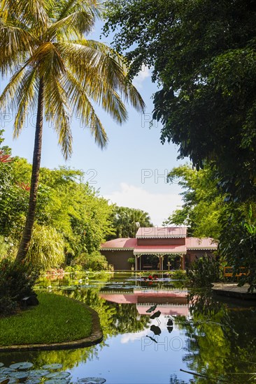 Entrance with a lily pond