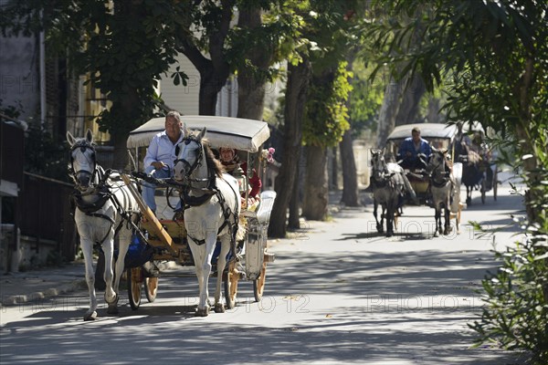 Horse-drawn carriages