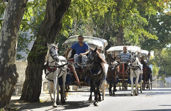 Horse-drawn carriages