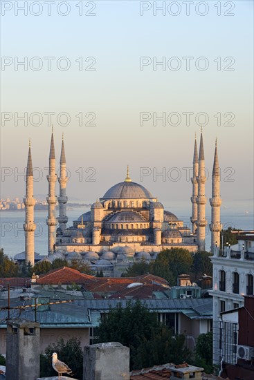 Blue Mosque