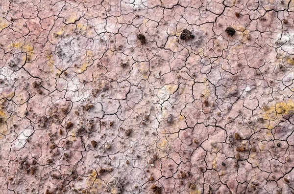 Deposits of sand and clay coloured by different minerals