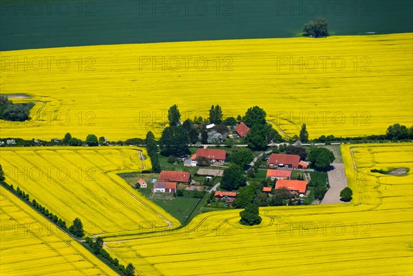 Village of Bakendorf amidst flowering fields of rape