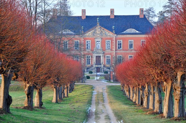 Festoon Avenue at Schloss Bothmer Castle