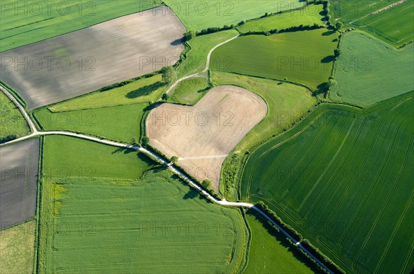 Aerial view of a heart-shaped field