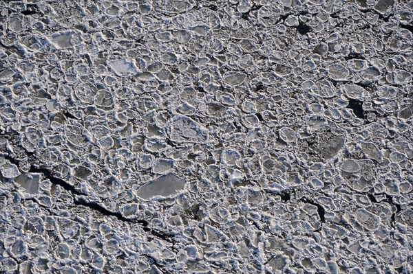 Ice floes on the Elbe River