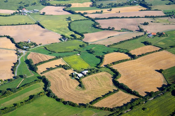 Hedgerow landscape