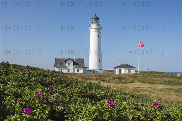 Lighthouse of Hirtshals with outbuildings