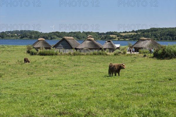 Thatched cottages beside a lake