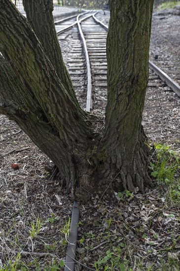 Buchenwald Concentration Camp