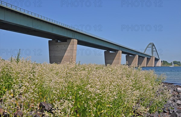 Fehmarn Sound Bridge