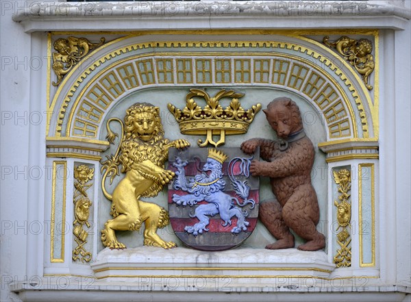Lion and bear