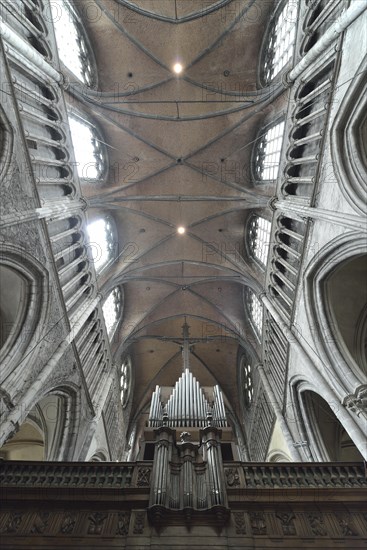Organ and vaulted ceiling